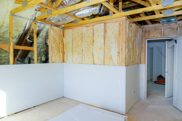 Best Insulation Maintenance and Repair in Albers, IL