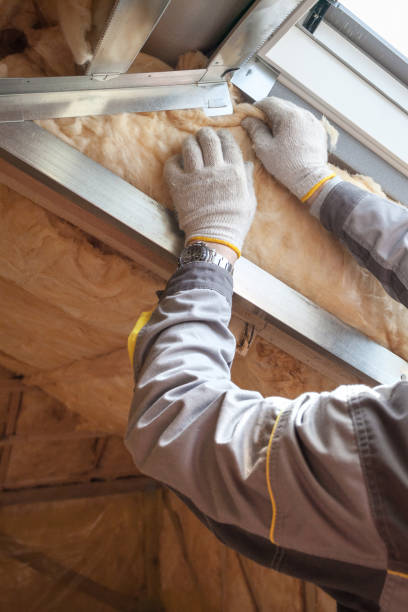 Best Specialized Insulation Services in Albers, IL