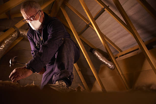 Best Spray Foam Insulation in Albers, IL