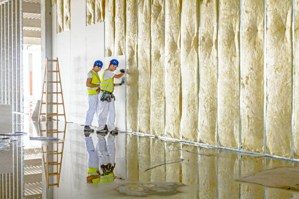 Professional Insulation Contractor in Albers, IL